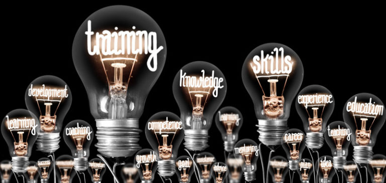 DISCOVER - Photo of light bulbs with shining fibers in a shape of TRAINING, SKILLS and KNOWLEDGE concept related words isolated on black background