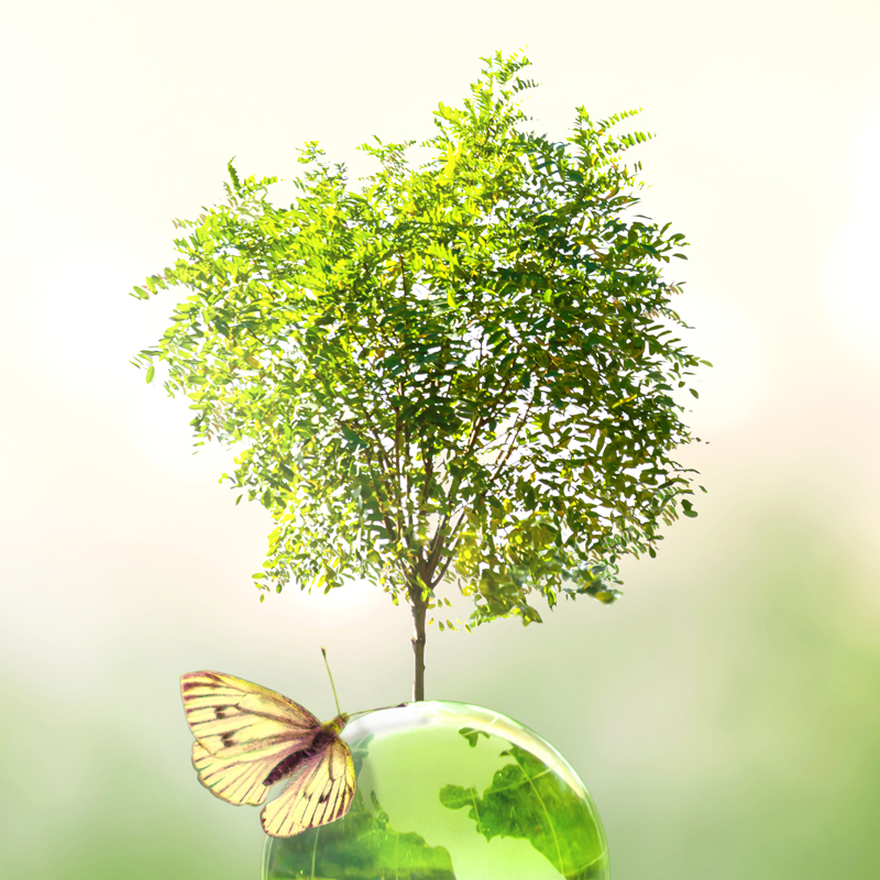 Picture of a butterfly on a green marble earth with a tree growing out of it