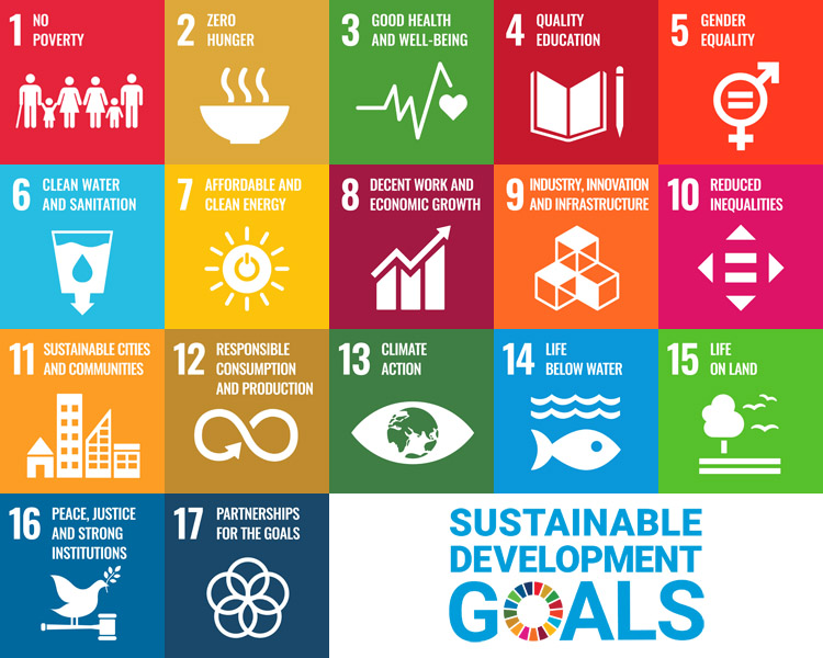 List of all 17 UN SDGs