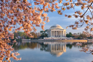 Washington DC